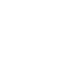 echo get_sub_field('traum_box_icon');