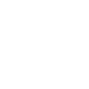 echo get_sub_field('traum_box_icon');