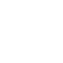 echo get_sub_field('traum_box_icon');