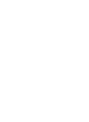 echo get_sub_field('traum_box_icon');