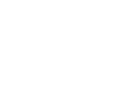 echo get_sub_field('traum_box_icon');