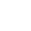 echo get_sub_field('traum_box_icon');
