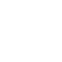 echo get_sub_field('traum_box_icon');