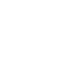 echo get_sub_field('traum_box_icon');